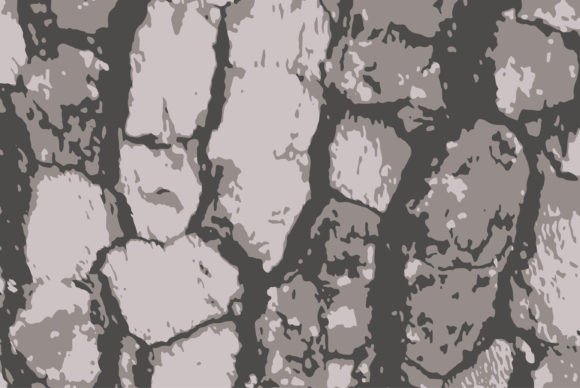 Download Tree Bark Texture Vector Illustration - Illustration Collection