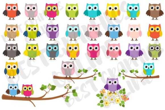 Download Owl Clipart, Owl Cute Owls Graphics Set - Graphic Collection