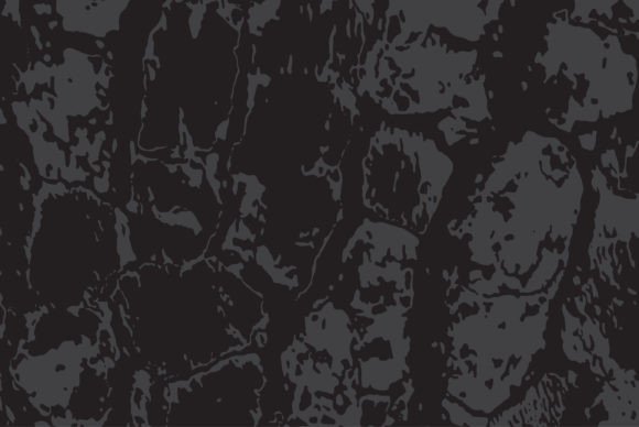 Download Tree Bark Texture Vector Illustration - Illustration Collection